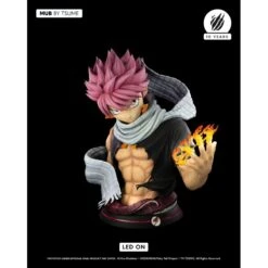Fairy Tail Natsu Dragneel MUB Tsume