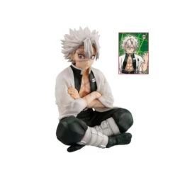 Kimetsu No Yaiba Shinazugawa-san Palm Size Deluxe Edition G.E.M. Megahouse