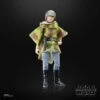 Star Wars Episode VI Princess Leia (Endor) The Black Series 40th Anniversary Hasbro